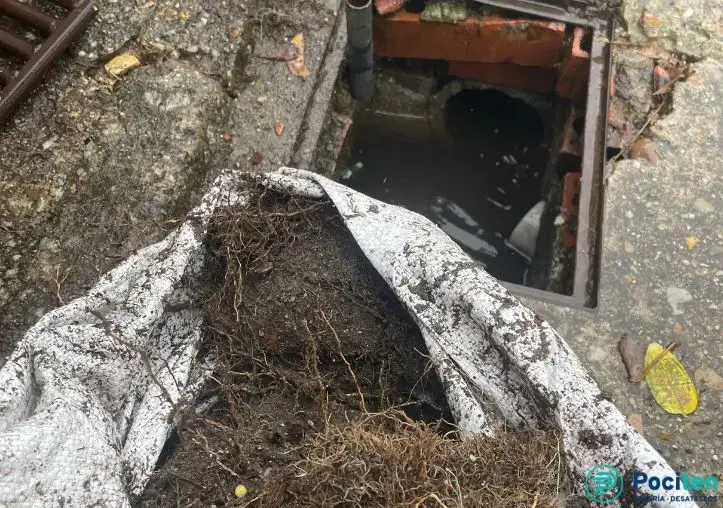 Limpieza de Arquetas: Guía y Consejos - Pociten