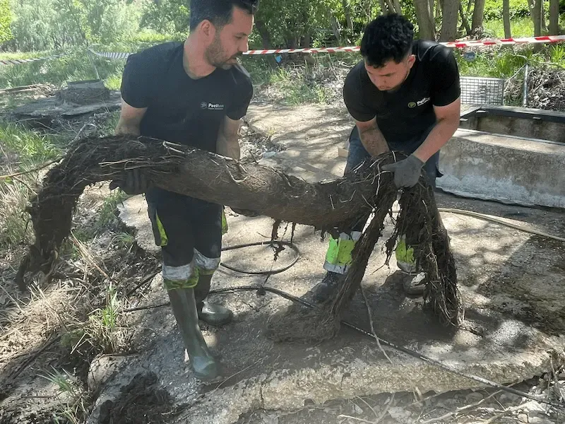 Servicio de desatascos en Loeches - Desatascos Pociten