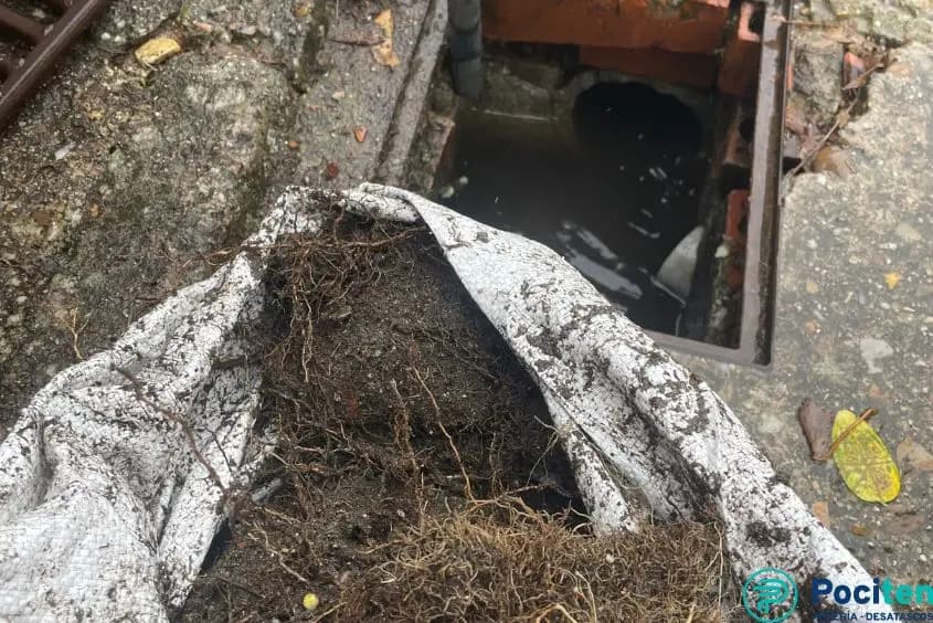 Limpieza de Arquetas: Guía y Consejos - Pociten